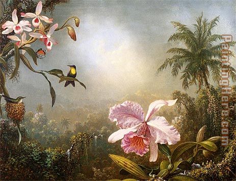 Orchids Nesting Hummingbirds and a Butterfly painting - Martin Johnson Heade Orchids Nesting Hummingbirds and a Butterfly art painting